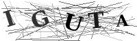 Please refresh your browser to see this image.